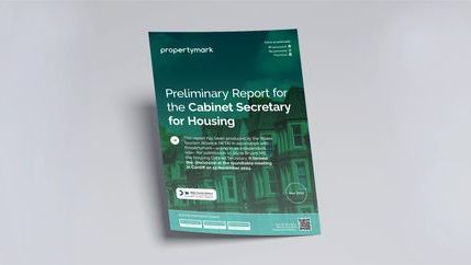 Preliminary Report for the Cabinet Secretary for Housing.jpg